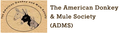 adms logo